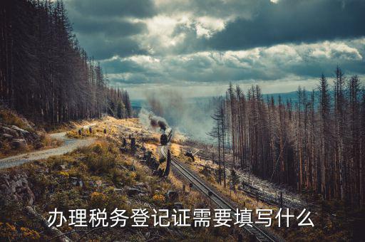 稅務登記地址填什么，填寫稅務登記地址是證件上的經(jīng)營地址還是批準設立機關的地址