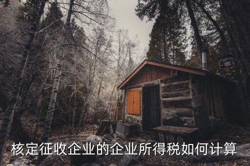 核定征收是什么，核定征收企業(yè)的會計主要的會計職責是什么