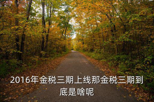 什么叫金稅三期，2016年金稅三期上線(xiàn)那金稅三期到底是啥呢