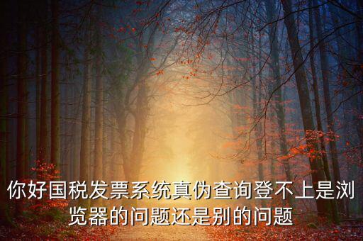 國稅登不上什么情況，為什么稅號密碼都對還是無法登錄國稅