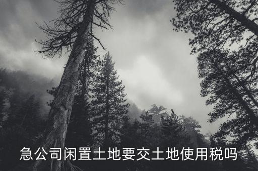 開發(fā)的土地閑置需繳什么稅，急公司閑置土地要交土地使用稅嗎