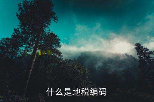 面條的稅務(wù)編碼是什么意思，稅務(wù)登記證上的企業(yè)編碼是什么意思不是就是稅務(wù)號