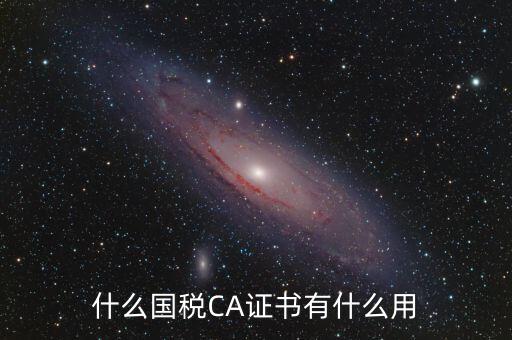 國稅ca登錄是什么，什么國稅CA證書有什么用