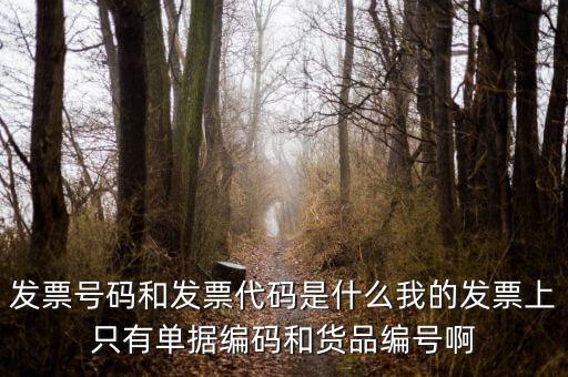 發(fā)票結(jié)存號(hào)碼是什么，發(fā)票號(hào)碼是指哪個(gè)號(hào)碼