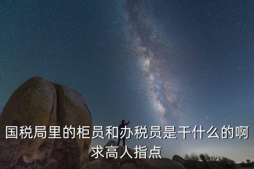 國稅志愿者可以做什么，國稅局里的柜員和辦稅員是干什么的啊求高人指點