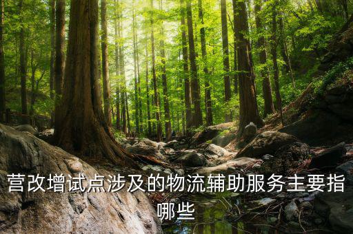 物流輔助服務(wù)屬于什么服務(wù)，貨物配服務(wù)屬于哪個(gè)行業(yè)