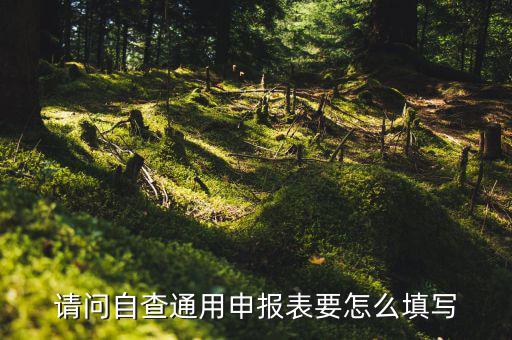 通用申報(bào)表要填什么，請(qǐng)問(wèn)自查通用申報(bào)表要怎么填寫(xiě)