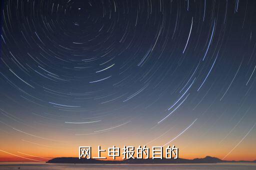 電子化辦稅什么意思，網(wǎng)上申報(bào)的目的