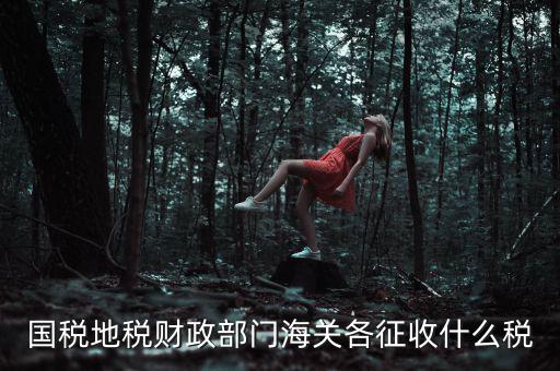 國稅地稅財(cái)政部門海關(guān)各征收什么稅