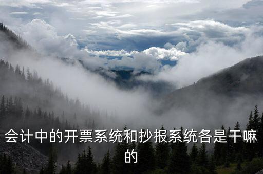 報(bào)稅開(kāi)票系統(tǒng)是什么意思，每個(gè)月一號(hào)重登金稅盤(pán)開(kāi)票系統(tǒng)是什么意思
