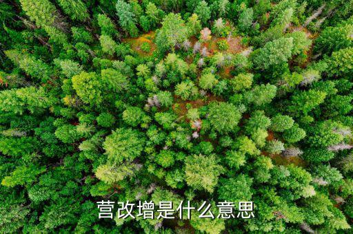 什么是營改增發(fā)票，營改增是什么意思
