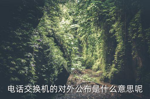 對(duì)外公開電話有什么，福建省廈門市湖里區(qū)人民法院對(duì)外公開號(hào)碼都有哪些