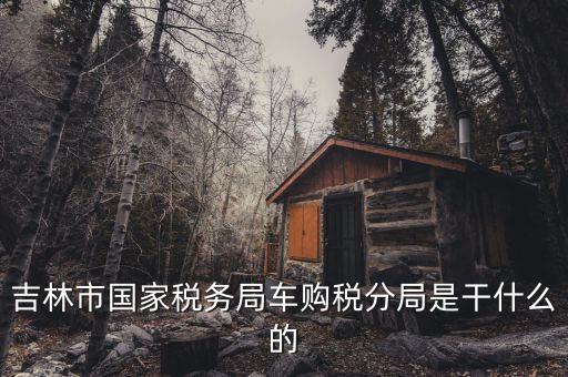 車購稅局主要干什么，新車去地稅局干什么