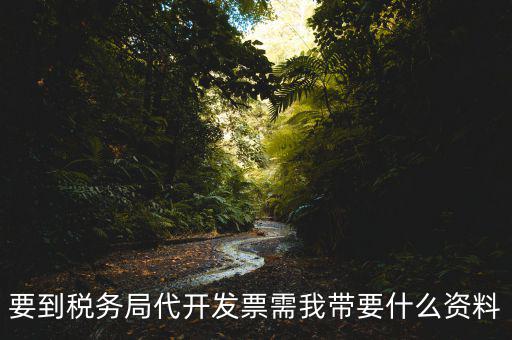 去稅務(wù)局開票需要帶什么資料，去稅務(wù)局開票的話需要帶什么材料呢