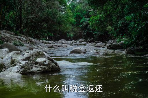 稅收退還的協(xié)議叫什么，什么是稅費(fèi)返還