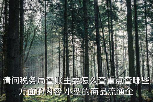 重點(diǎn)稅源稅務(wù)局看什么，稅務(wù)局主要看報(bào)表的什么