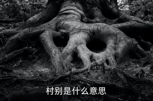 稅務(wù)所村審是什么意思，村別是什么意思