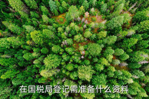 登記國稅需要什么手續(xù)，國稅登記需要帶什么資料