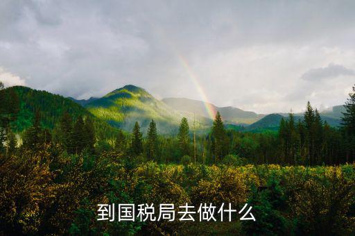 國稅局什么工作，國稅是做什么工作的