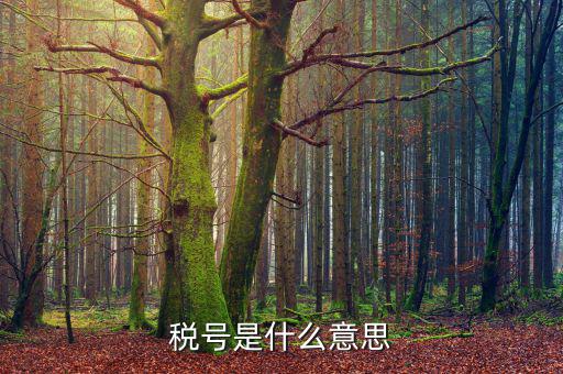 電子發(fā)票稅號是什么，開發(fā)票的門頭和稅號指的是什么意思