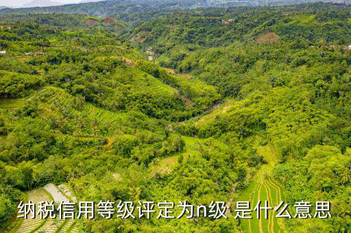 納稅信用等級b級是什么意思，納稅信用等級評定為n級 是什么意思