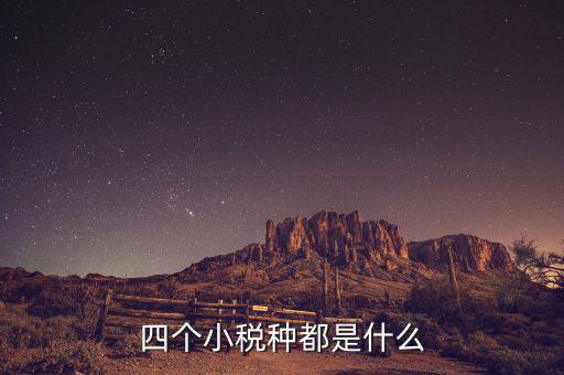 地稅小稅種是什么意思，四個(gè)小稅種都是什么