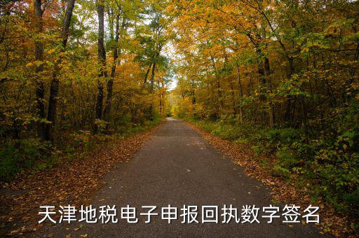 天津地稅自查表是什么，天津地稅電子申報(bào)回執(zhí)數(shù)字簽名