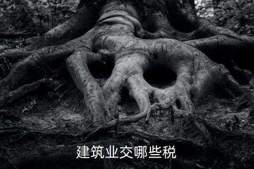 建筑設(shè)計(jì)交什么稅，建筑設(shè)計(jì)企業(yè)所得稅應(yīng)該交什么稅呀怎么抵扣