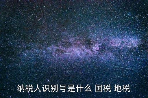 單位納稅識(shí)別號(hào)是什么，納稅人識(shí)別號(hào)是什么有多少位
