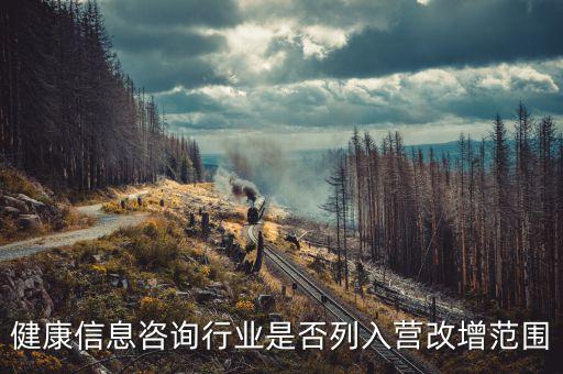 健康信息咨詢(xún)行業(yè)是否列入營(yíng)改增范圍