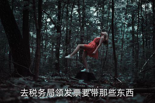 國(guó)稅領(lǐng)取發(fā)票需要帶什么，去國(guó)稅局領(lǐng)發(fā)票要帶什么