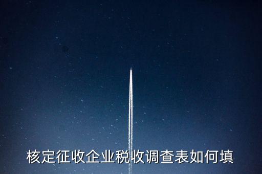 什么企業(yè)填稅收調查表，核定征收企業(yè)稅收調查表如何填