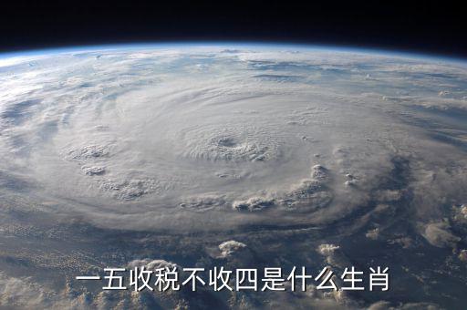 什么生肖要打稅，稅意新榮打一生肖