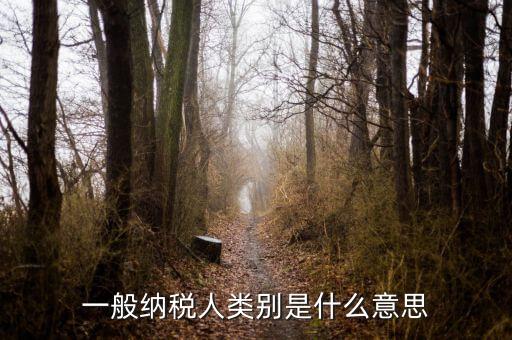 納稅人類別填什么，一般納稅人類別是什么意思