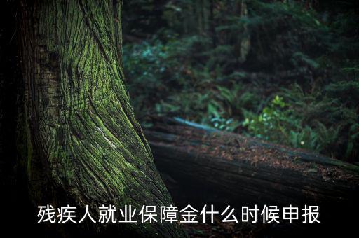 殘疾人保障金什么時候，殘疾人就業(yè)保障金怎么交什么時侯交會計分錄