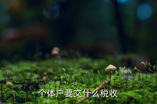 個(gè)體商戶(hù)納什么稅，個(gè)體戶(hù)要交什么稅收