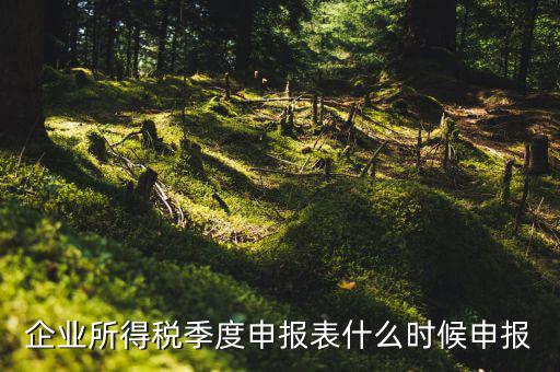 季度稅是在什么時(shí)候報(bào)，年度季度企業(yè)所得稅申報(bào)時(shí)間