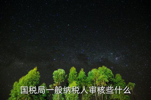 國(guó)稅審查企業(yè)些什么，國(guó)稅局一般納稅人審核些什么