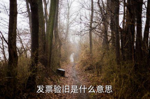 稅務(wù)驗舊是什么意思，發(fā)票驗證時提示舊系統(tǒng)已驗舊是什么意思