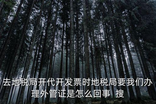 為什么要開電子外管證，像您咨詢一下關(guān)于外管證的事宜我前一陣開了外管證您說是避免
