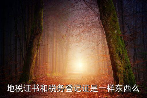 地稅登記證是什么，地方稅納稅資料封面上稅務登記證號是甚么
