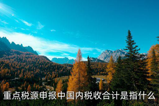 月核定稅額合計是什么，價稅合計是什么意思呢