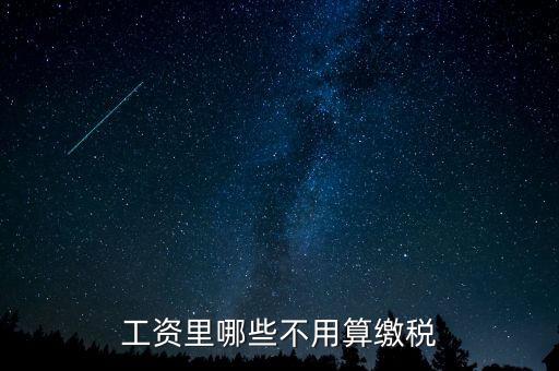 什么所得不用上稅，哪些類(lèi)型的工資薪金所得不用納稅