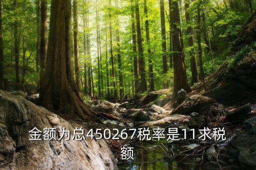 11 是什么稅率，招標(biāo)文件稅率為人工費(fèi)11是什么意思