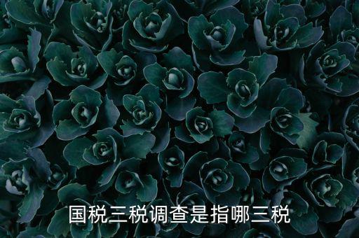全國(guó)稅收調(diào)查是什么，全國(guó)稅收調(diào)查表中審核公式IFXXBB8 1 XXBB8 4