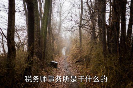 稅務(wù)師事務(wù)所 外勤是做什么的，稅務(wù)師事務(wù)所是干什么的
