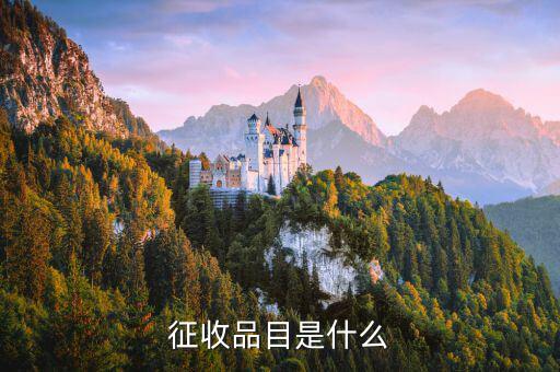 代辦手續(xù)費(fèi)屬于什么征收品目，征收品目是什么