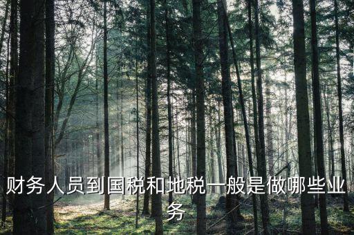 國(guó)稅地稅有什么工作，地稅工作人員有哪些職務(wù)
