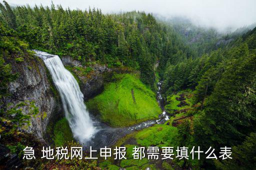 稅務(wù)申報表用什么填置，怎么填寫稅務(wù)申請表