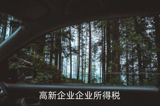 什么高新企業(yè)所得稅，高新企業(yè)企業(yè)所得稅